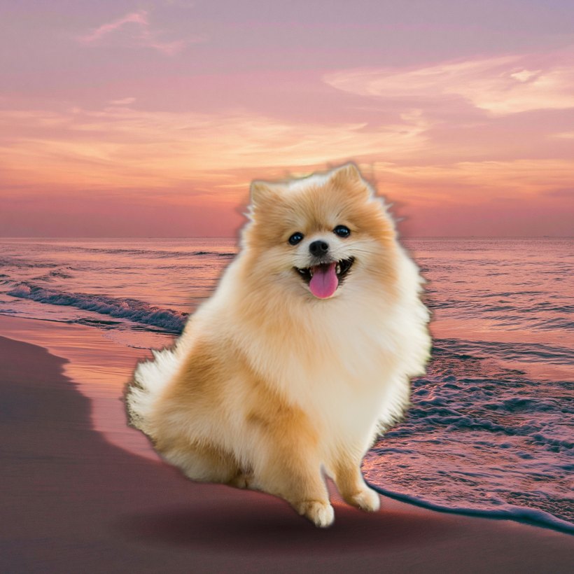 노을 해변