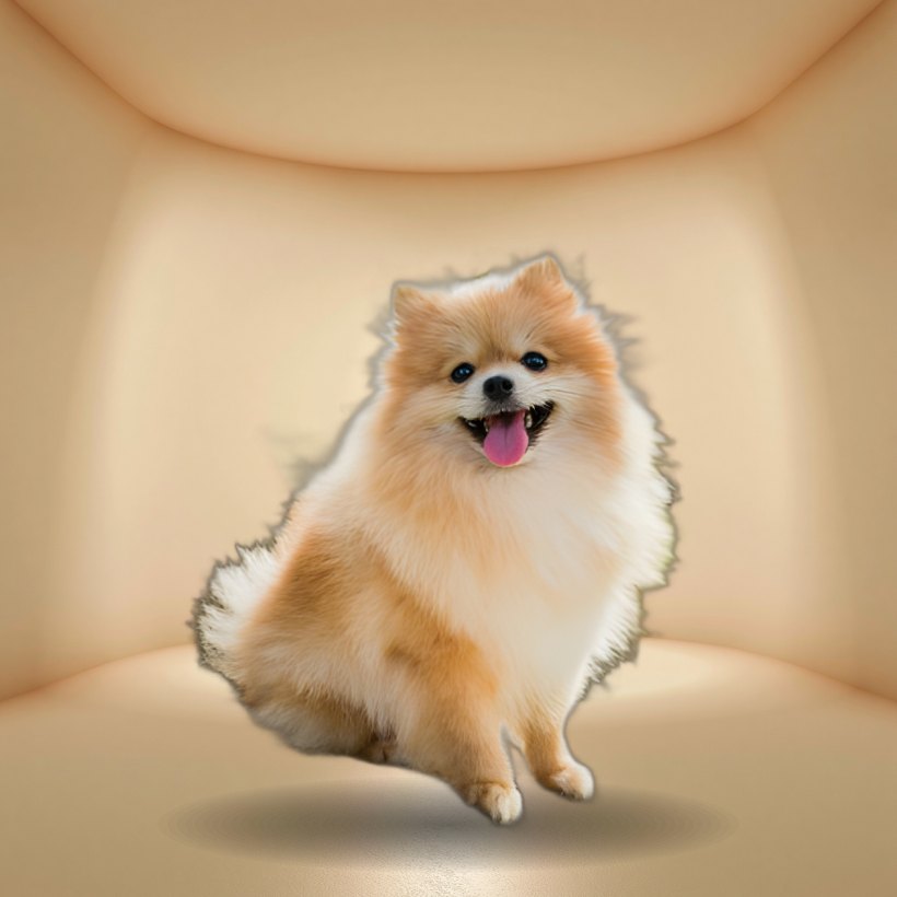스튜디오 영정